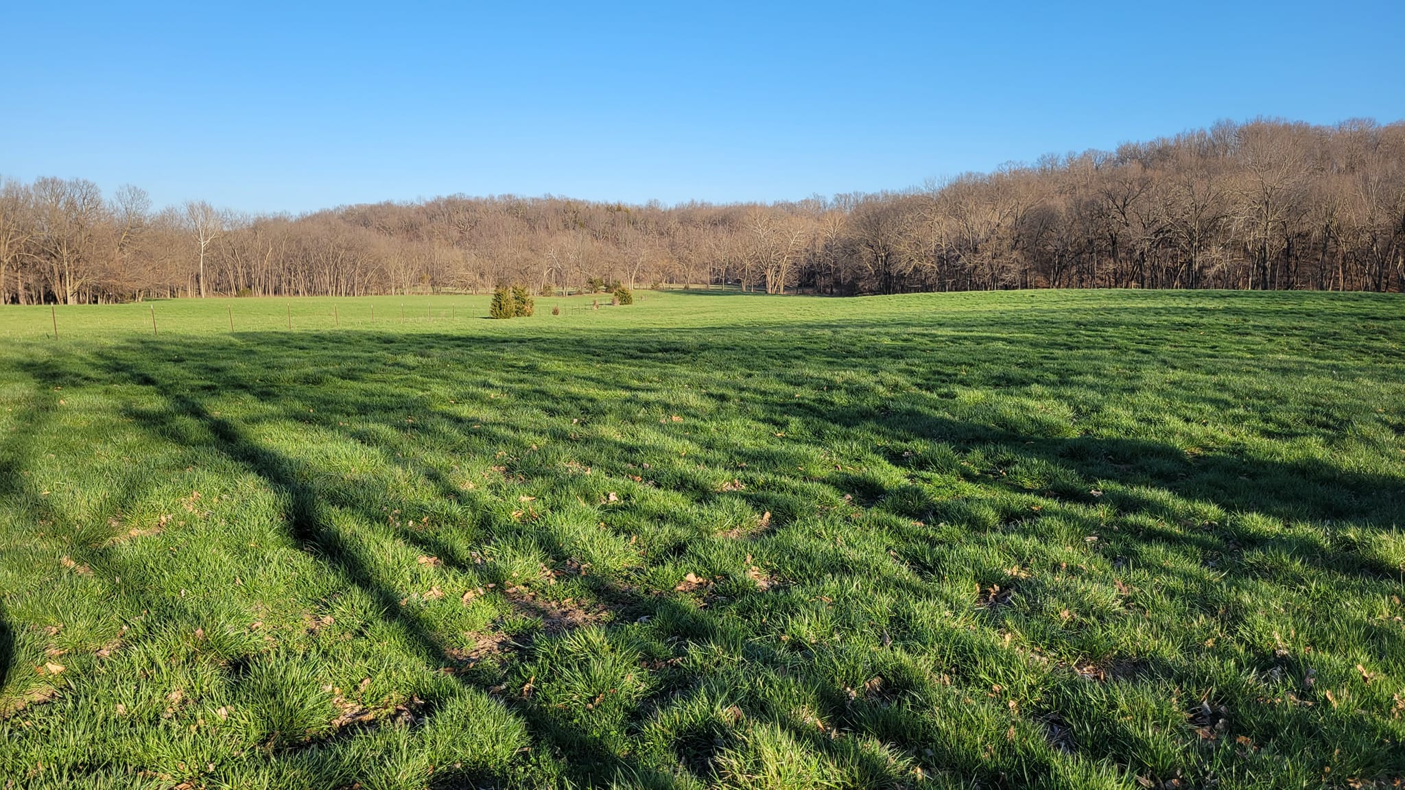 One of our pastures, April 2023